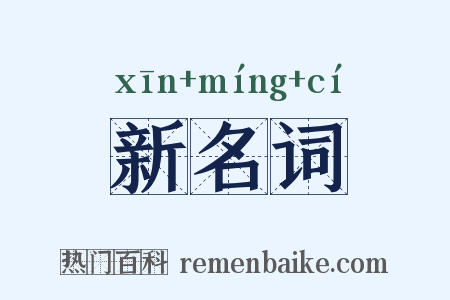 新名词是什么意思的图片